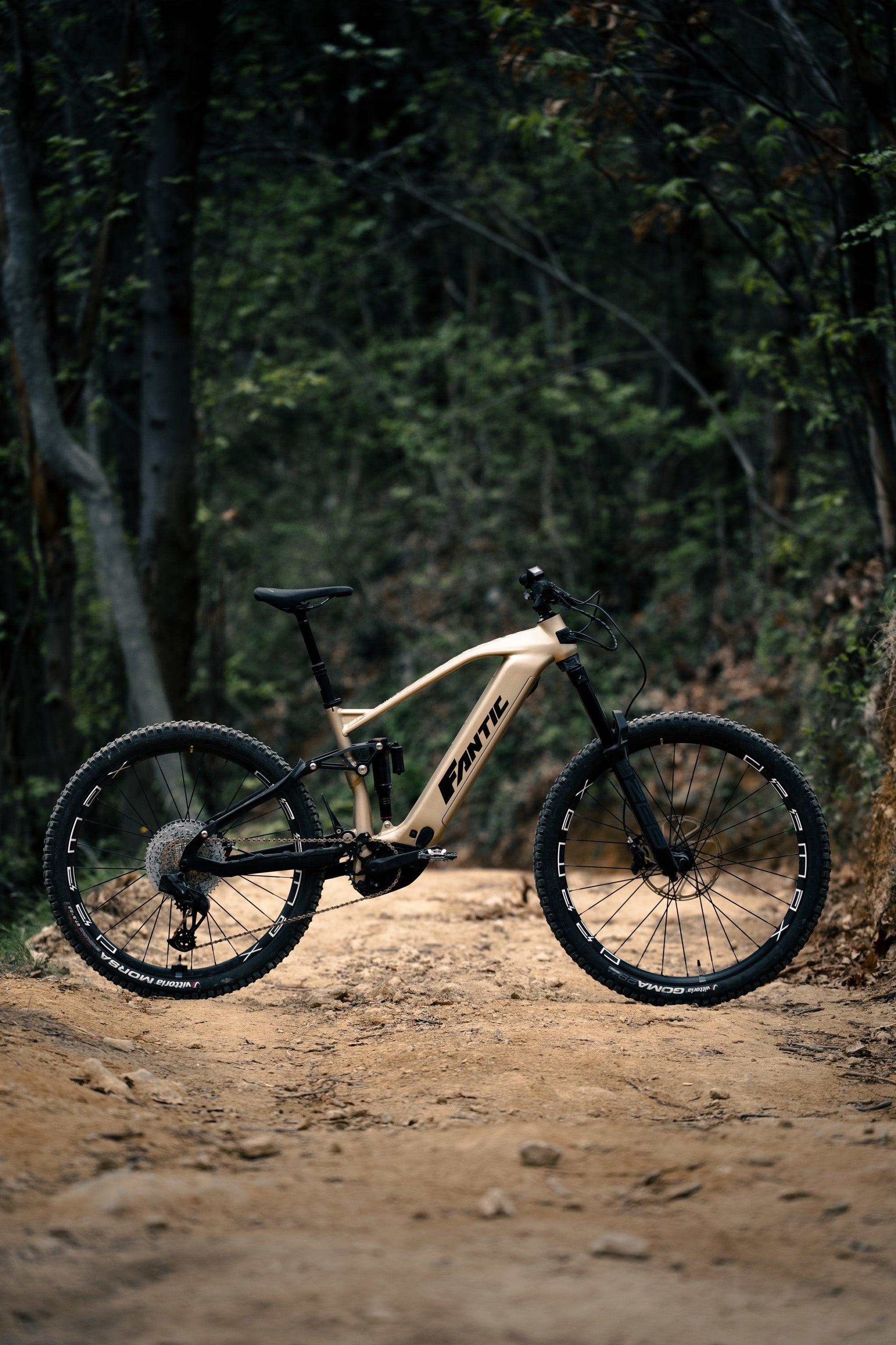 All Mountain | Ridge