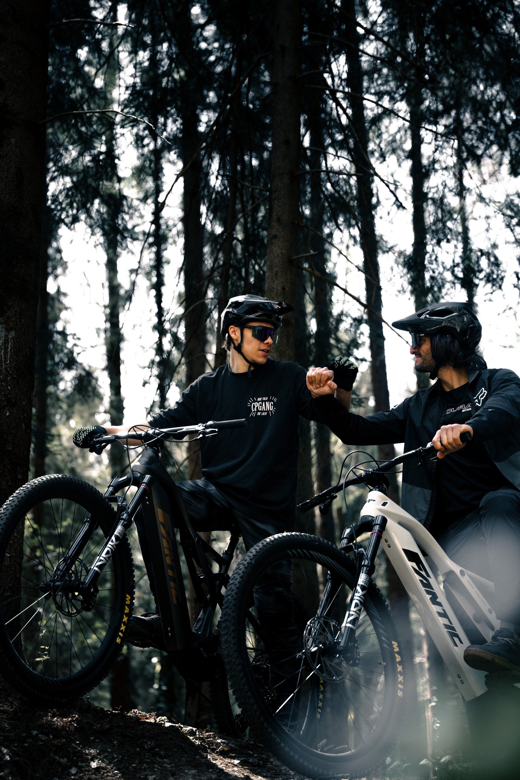 Trail | Sierra