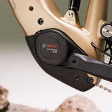 All Mountain Ridge | Sport || Desert Gold