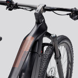 XTF 1.6 | Carbon Factory || Bronze