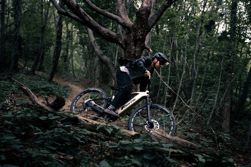 Ridge_AllMountain_Ambient_1.jpg
