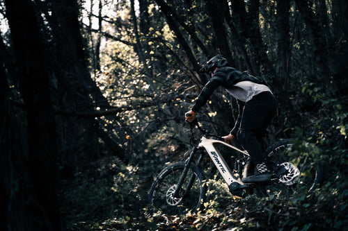Ridge_AllMountain_Ambient_14.jpg