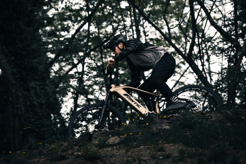 Ridge_AllMountain_Ambient_15.jpg