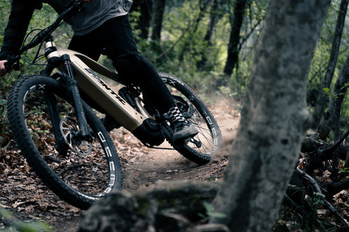 Ridge_AllMountain_Ambient_21.jpg
