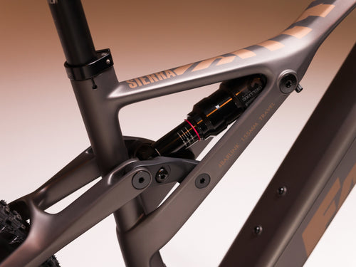 SIERRA_FACTORY_BRONZE_2.jpg