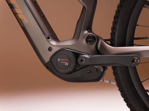 SIERRA_FACTORY_BRONZE_3.jpg