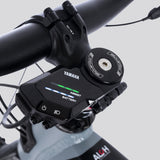 XTF 1.5 | Race Y || Grey